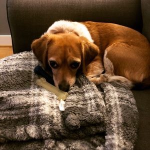 Meet your Posher, Brooke